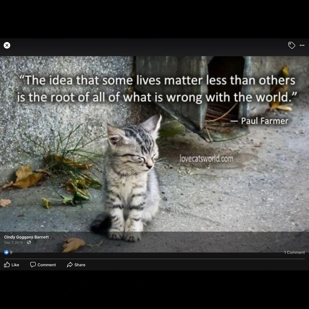 Free kittens are subject to neglect and abuse and much worse!